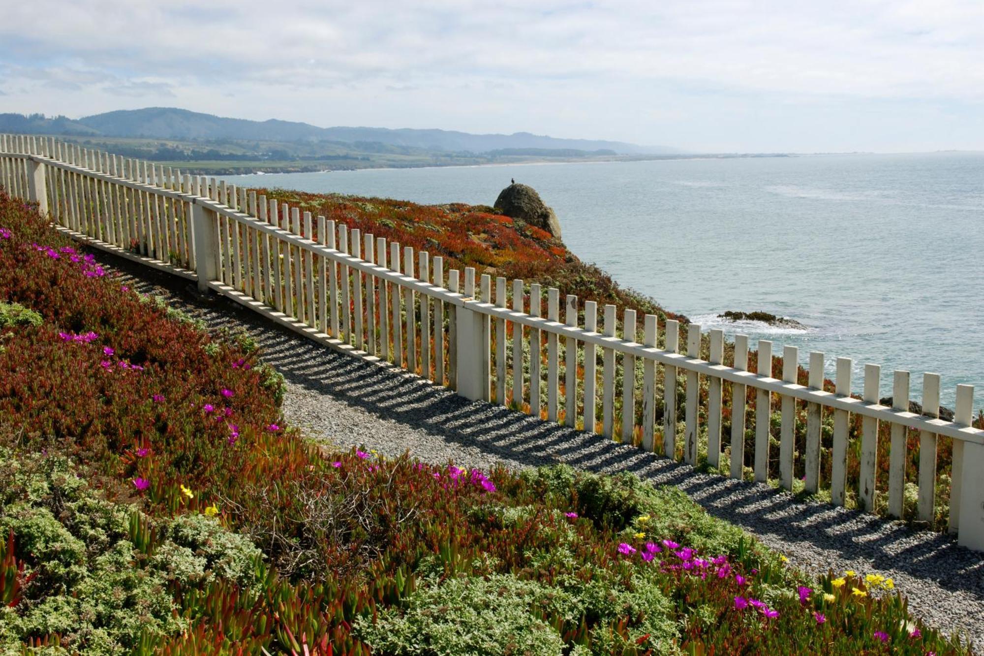 Hi Pigeon Point Lighthouse Hostel ペスカデロ エクステリア 写真